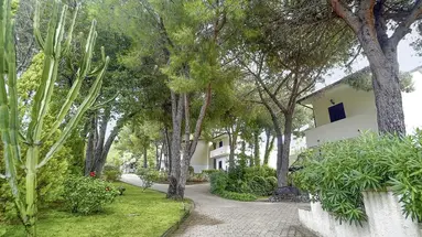 PINETA PETTO BIANCO VILLAGGIO