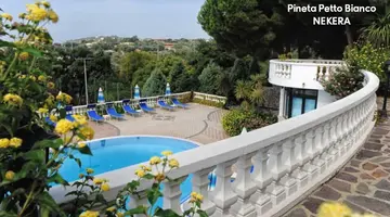 PINETA PETTO BIANCO VILLAGGIO