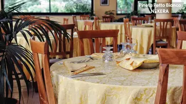 PINETA PETTO BIANCO VILLAGGIO