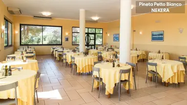 PINETA PETTO BIANCO VILLAGGIO