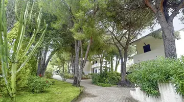 PINETA PETTO BIANCO VILLAGGIO