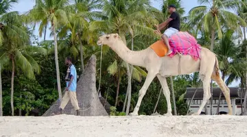 PINEWOOD BEACH RESORT AND SPA