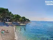 Pinija