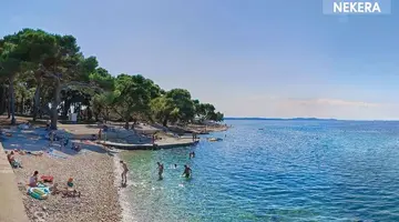 Pinija