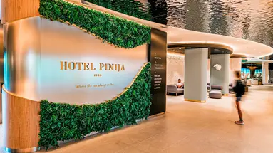 Pinija