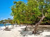 Piraci, rajskie plaże i kolonialne miasta