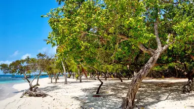 Piraci, rajskie plaże i kolonialne miasta
