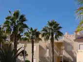 Placid Village
