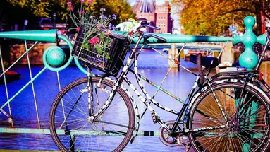 [PLATINUM] Amsterdam i Brema - Festiwal