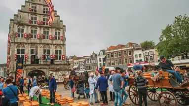 PLATINUM Benelux Tour