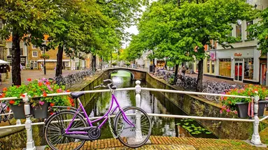 PLATINUM Benelux Tour