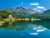 [PLATINUM] Czerwony pociąg + Davos
