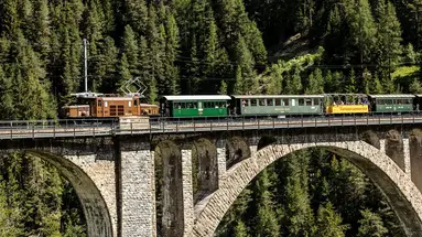 PLATINUM Szwajcaria - retro pociąg i Davos