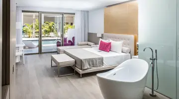 Platinum Yucatan Princess