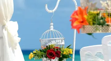 Platinum Yucatan Princess