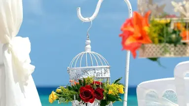 Platinum Yucatan Princess