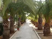 Playa Blanca Hotel