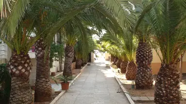 Playa Blanca Hotel