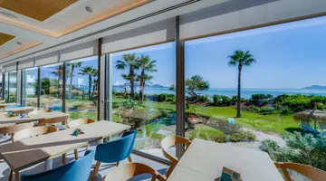 Playa Esperanza Resort Affiliated by Melia