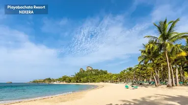Playabachata by Senator