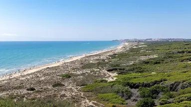 Playas de Guardamar