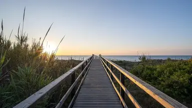 Playas de Guardamar