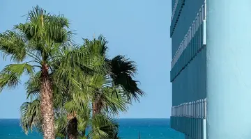 Playas de Guardamar