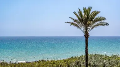 Playas de Guardamar