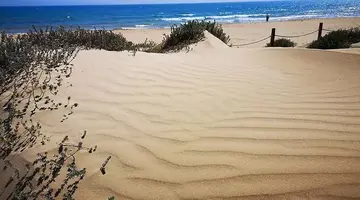 Playas de Guardamar