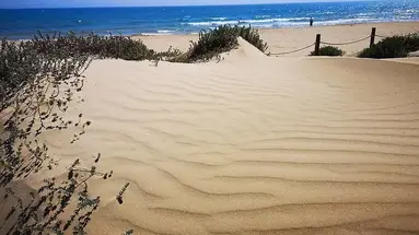 Playas de Guardamar