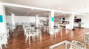 Plaza Palmeras