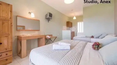 Plessas Palace
