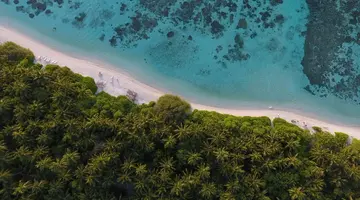 PLUMERIA MALDIVES
