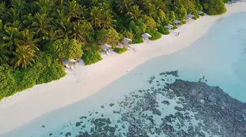 PLUMERIA MALDIVES