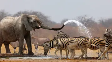 Po drodze do Himba - RPA i Namibia