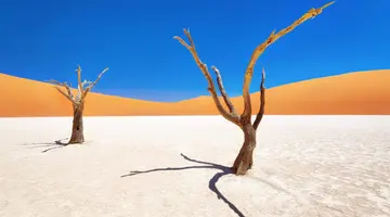 Po drodze do Himba - RPA i Namibia