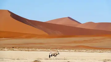 Po drodze do Himba - RPA i Namibia