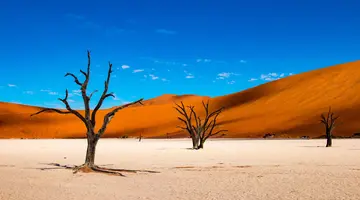 Po drodze do Himba - RPA i Namibia