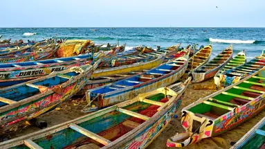 Pod Gwiazdami Sahary