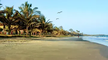 Pod Gwiazdami Sahary