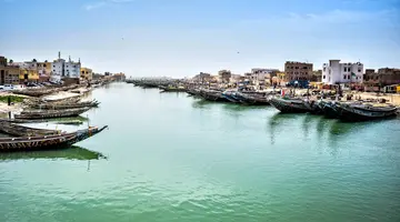 Pod Gwiazdami Sahary