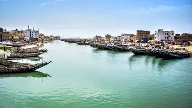 Pod Gwiazdami Sahary