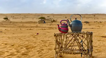 Pod Gwiazdami Sahary