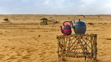 Pod Gwiazdami Sahary
