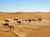 Pod Gwiazdami Sahary