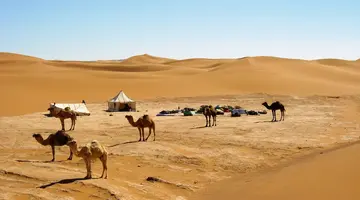 Pod Gwiazdami Sahary