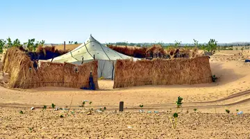 Pod Gwiazdami Sahary