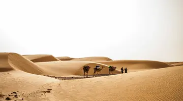 Pod Gwiazdami Sahary