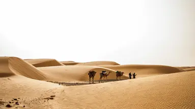 Pod Gwiazdami Sahary