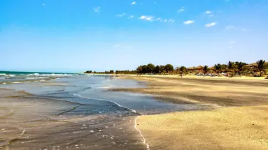 Pod Gwiazdami Sahary